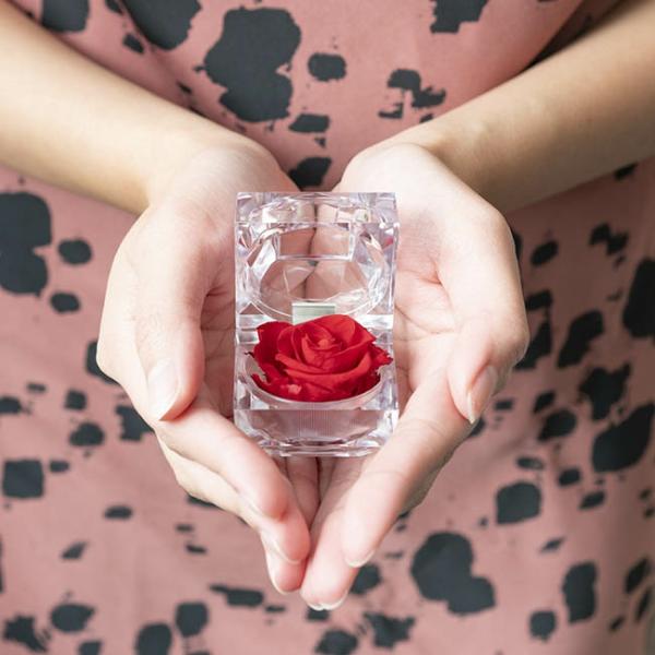 Acrylic Rose Head Boxes |  Amore Forever Rose Diamond Acrylic Box Pack 12 Red (4.5cmH) Acrylic Rose Head Boxes Acrylic Rose Head Boxes