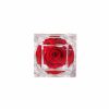 Acrylic Rose Head Boxes |  Amore Forever Rose Diamond Acrylic Box Pack 12 Red (4.5cmH) Acrylic Rose Head Boxes Acrylic Rose Head Boxes