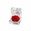 Acrylic Rose Head Boxes |  Amore Forever Rose Diamond Acrylic Box Pack 12 Red (4.5cmH) Acrylic Rose Head Boxes Acrylic Rose Head Boxes