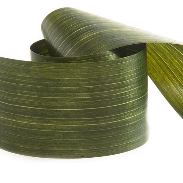 Aspidistra Leaf Ribbon |  Ribbon Tear Aspidistra Leaf Light Green (10cmx50m) Fabric & Paper Ribbons Aspidistra Leaf Ribbon