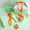 Grosgrain Ribbons |  Ribbon Plain Grosgrain Orange (15mmx20m) Fabric & Paper Ribbons Grosgrain Ribbons