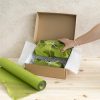 Honeycomb Wrap |  Kraft Paper Honeycomb Expandable Roll Moss Green (50cmx30m) Honeycomb Wrap Green