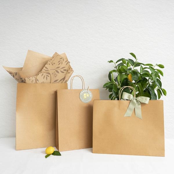 Kraft Paper Carry Bags |  Kraft Paper Bag Shopper Xl Brown Pk10 (320Wx110Gx420mmH) Gift Bags Kraft Paper Carry Bags