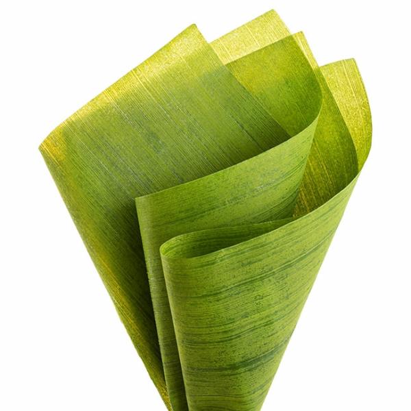 Nonwoven Flower Wrapping Paper |  Nonwoven Embossed Wrap Sheets Bamboo Green (50x70cm) Pack 50 Flower Wrap Nonwoven Flower Wrapping Paper