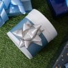 Poly Tear Ribbon |  Tear Ribbon Florists Hampers Gifts Silver (30mmx91m) Fabric & Paper Ribbons Poly Tear Ribbon