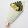 Regal Pearl Wrap Pattern |  Cello Regal Classic Stripes 65mic Mint (50x70cm) Pack 100 Flower Wrap Regal Pearl Wrap Pattern