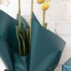 Regal Pearl Wrap Pattern |  Cello Regal Classic Stripes 65mic Teal Pack 100 (50x70cm) Flower Wrap Blue