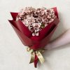 Regal Pearl Wrap Solid |  Cello Regal Pro 65mic Burgundy (50x70cm) Pack 100 Flower Wrap Dark Red