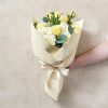 Regal Pearl Wrap Solid |  Cello Regal Pro 65mic Buttercream (50x70cm) Pack 100 Flower Wrap Cream Ivory