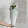 Regal Pearl Wrap Solid |  Cello Regal Pro 65mic Deep Sage (50x70cm) Pack 100 Flower Wrap Regal Pearl Wrap Solid