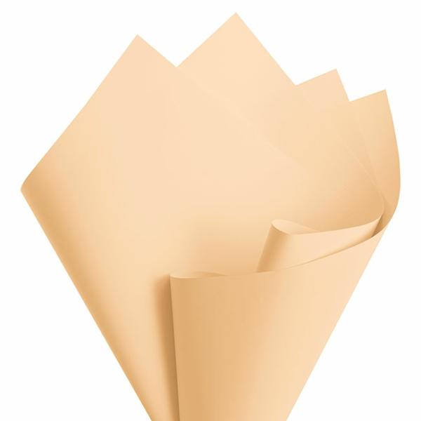 Regal Pearl Wrap Solid |  Cello Regal Pro 65mic Natural (50x70cm) Pack 100 Flower Wrap Cream Ivory