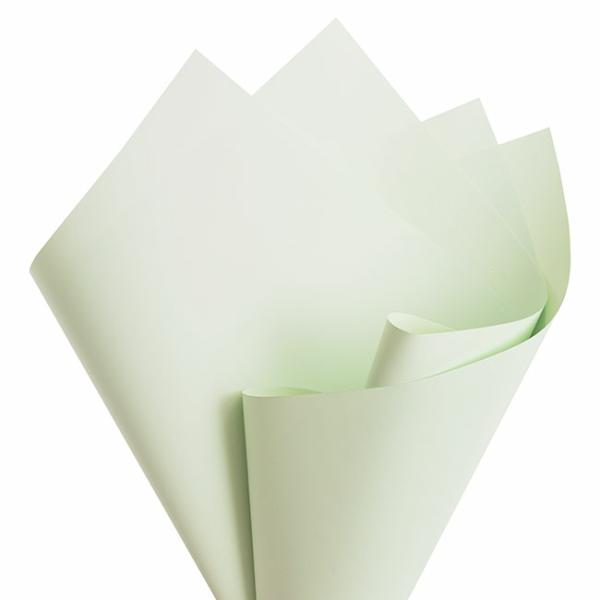 Regal Pearl Wrap Solid |  Cello Regal Pro 65mic Pastel Sage (50x70cm) Pack 100 Flower Wrap Regal Pearl Wrap Solid